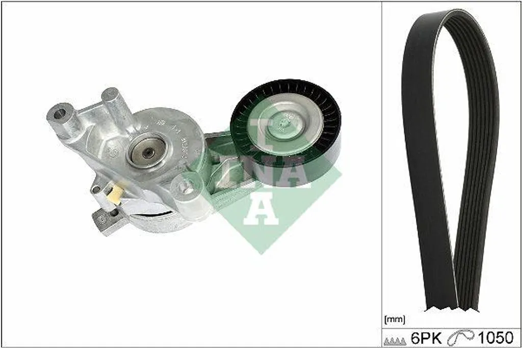 INA 529046810 Set Cinghie Servizi OE 03G903137B per Golf V e Audi A3