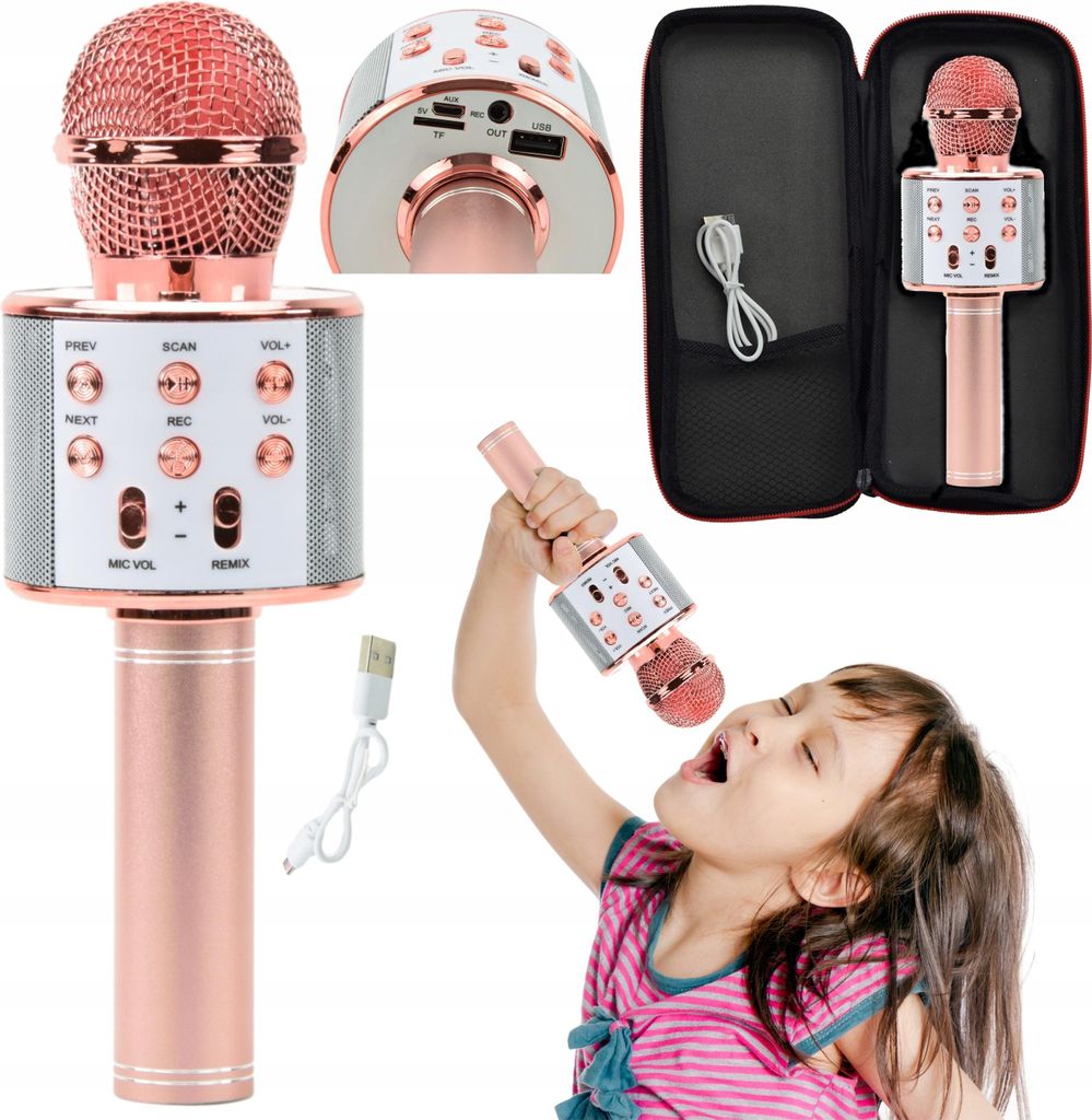 Lolex | Karaoke Mikrofon - Pink - Kabelloses Mikrofon - Bluetooth Mikrofon