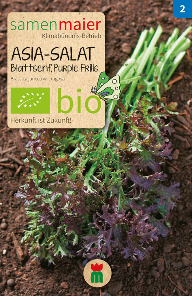 Asia Salat Blattsenf Purple Frills - Saatgut für zirka 70 Pflanzen