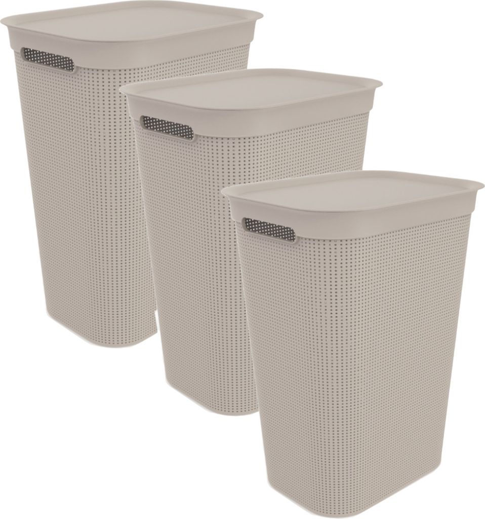 Rotho 3er-Set Wäschesammler 50 L Brisen - Wäschekorb 43,1 x 34 x 52,9 cm - Wäschebox mit Deckel und Griffen - Wäschetruhe groß - Wäschetonne ...