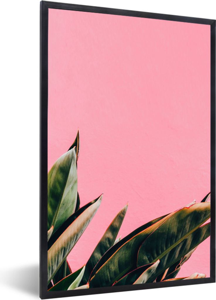 MuchoWow Gerahmtes Poster Pflanzen - Frauenzunge - Rosa - Tropisch 40x60 cm - Poster mit Schwarzem Bilderrahmen Wandposter Rahmen Foto Bilder - P...