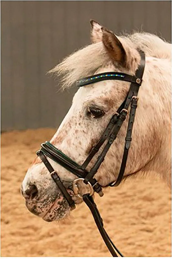 Fini les Licous Trop Grands : Harry's Horse Stout Chapeau Chaux Shetland