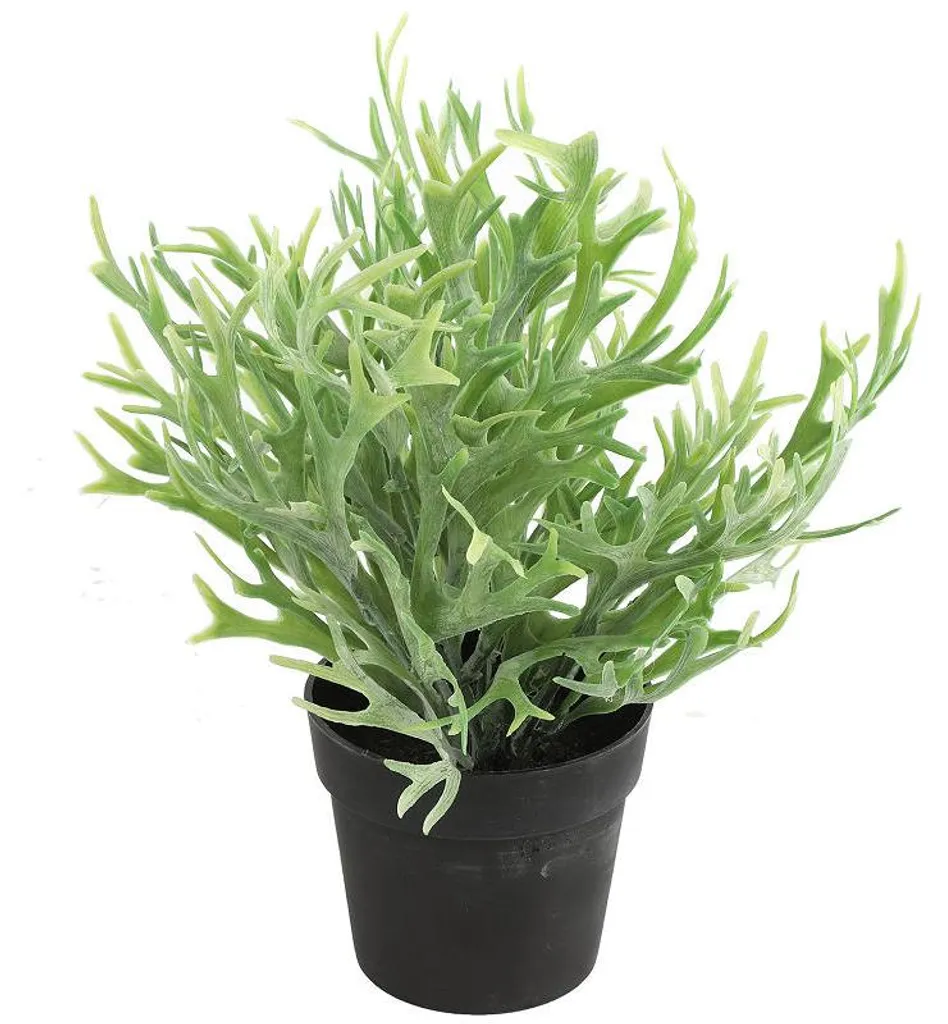Platycerium artificiel déco pour intérieur sombre ou bureau 24 cm