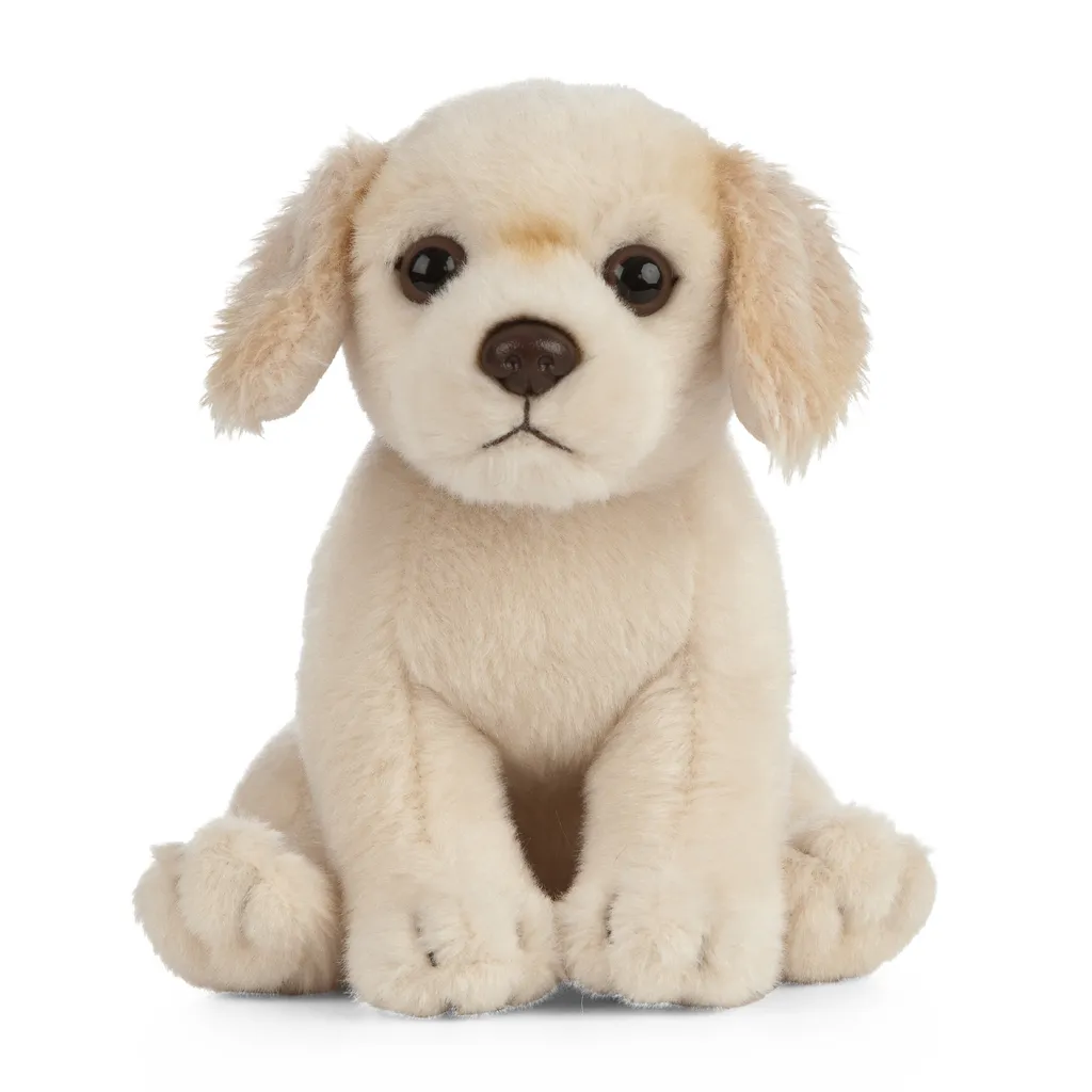 Doudou Chiot Golden Retriever : Peluche Chien Ultra Douce pour Enfant