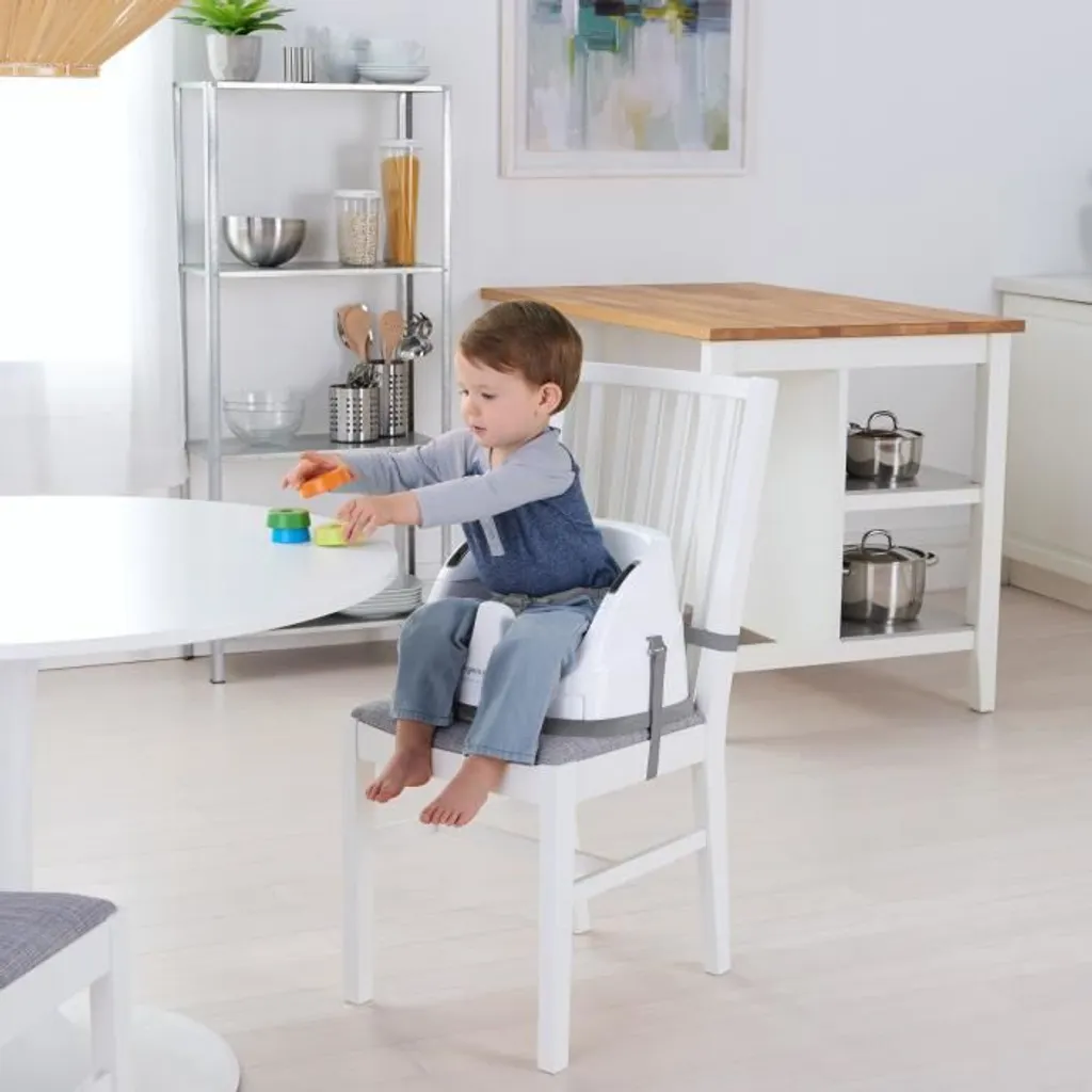 Ingenuity 2-in-1 Babysity Transat Bébé Évolutif Gris Schiefergrau - 9