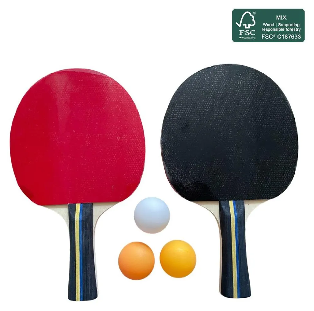 Set de ping-pong avec balles et sac de rangement haute adhérence