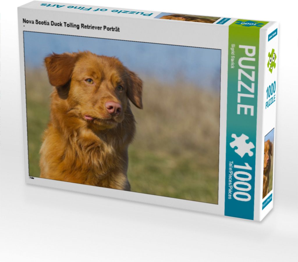 CALVENDO Puzzle Nova Scotia Duck Tolling Retriever Porträt | 1000 Teile Lege-Größe 64x48cm Foto-Puzzle für glückliche Stunden