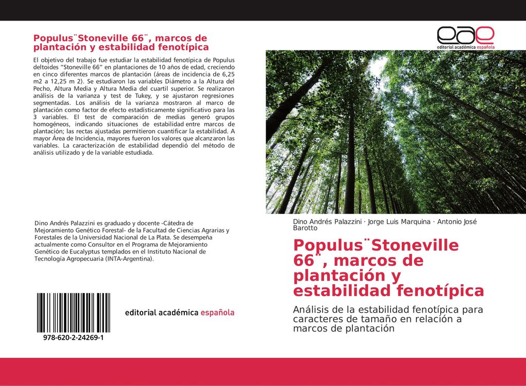 Populus ̈Stoneville 66 ̈, marcos de plantación y estabilidad fenotípica