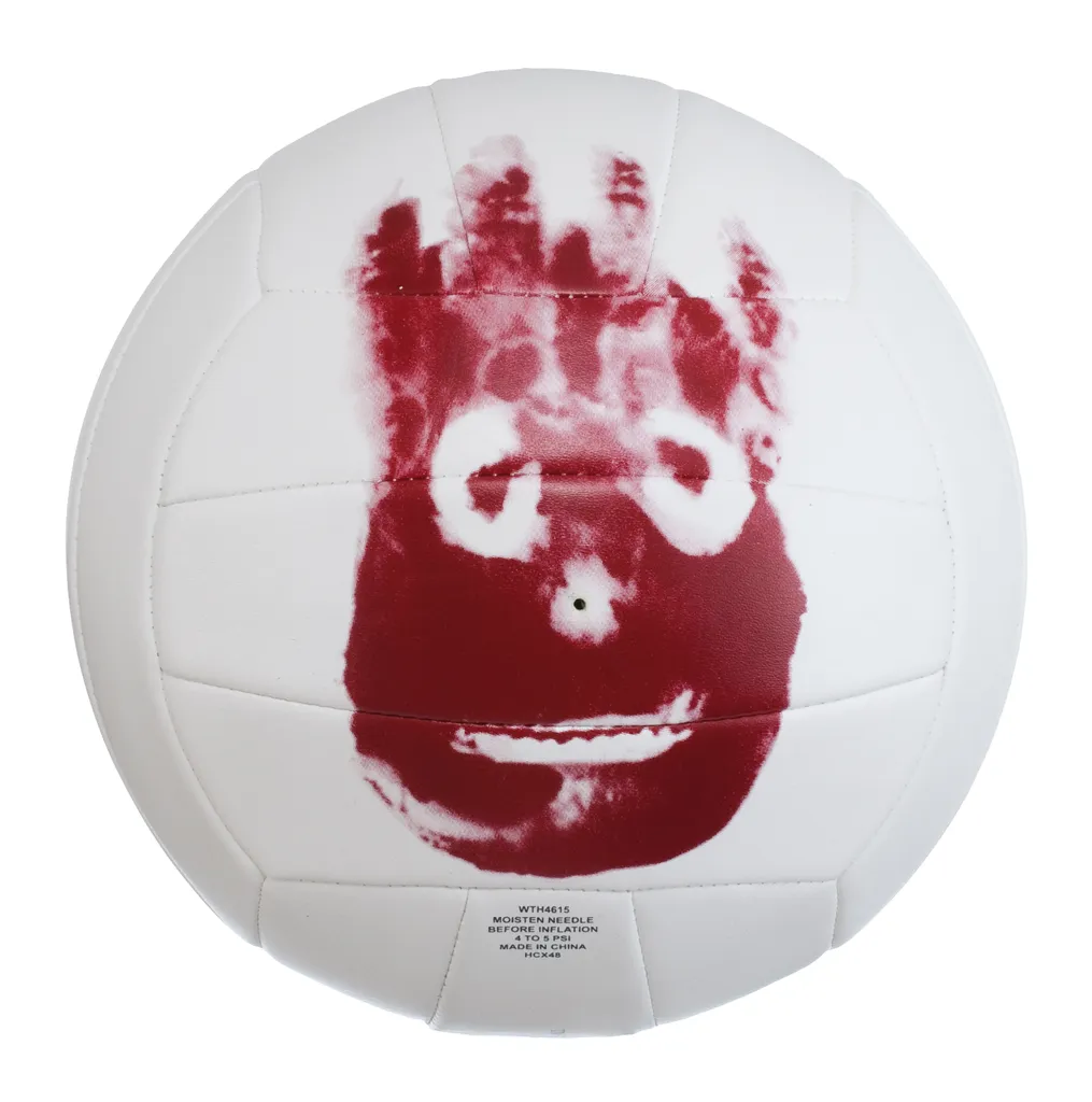 Ballon de Volley-Ball Wilson Castaway pour Amateur et Collectionneur
