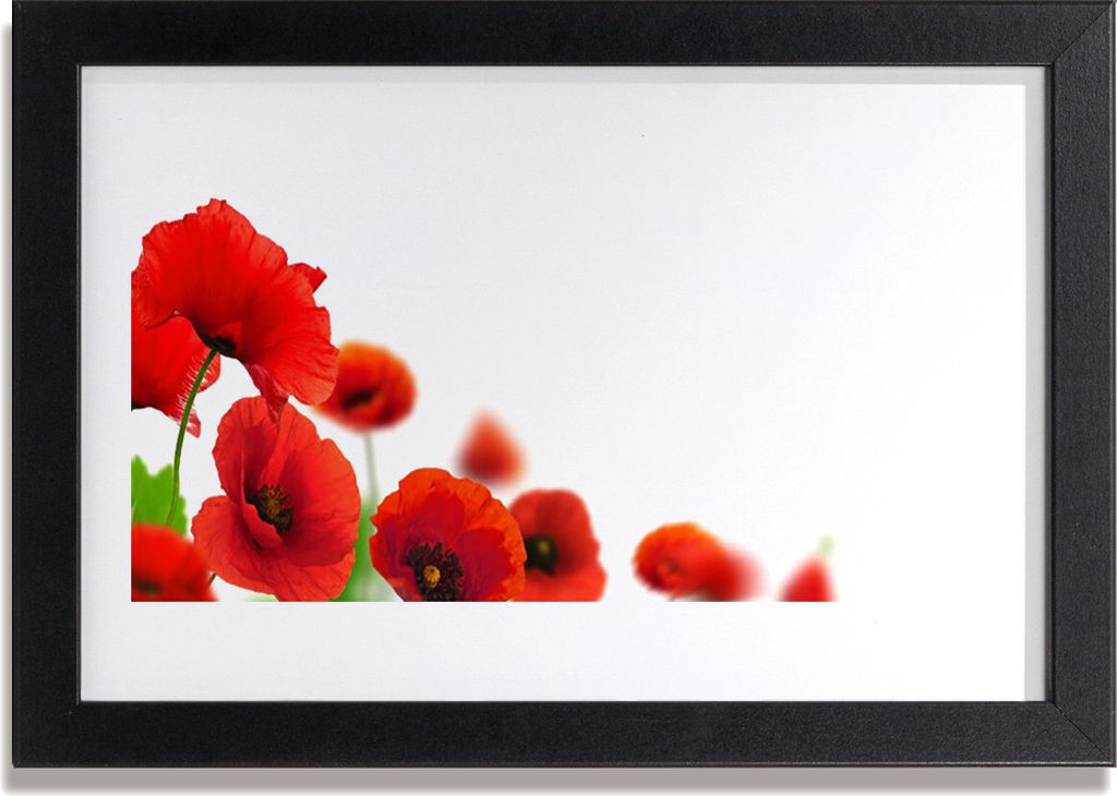 Bild 30x20 MDF-Rahmen Wandkunst Rote Mohnblumen Natur