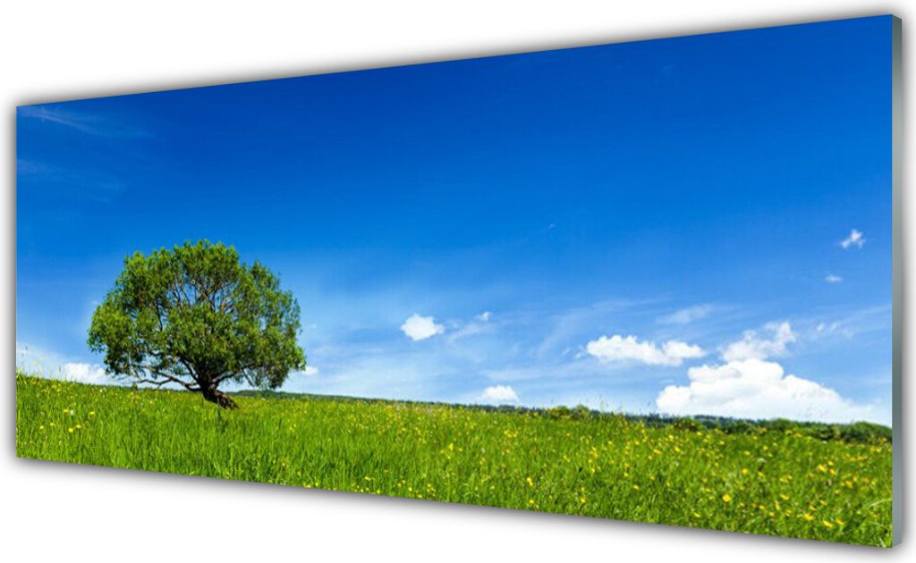 Glasbilder 125x50 Wandbild Druck auf Glas Gras Baum Natur