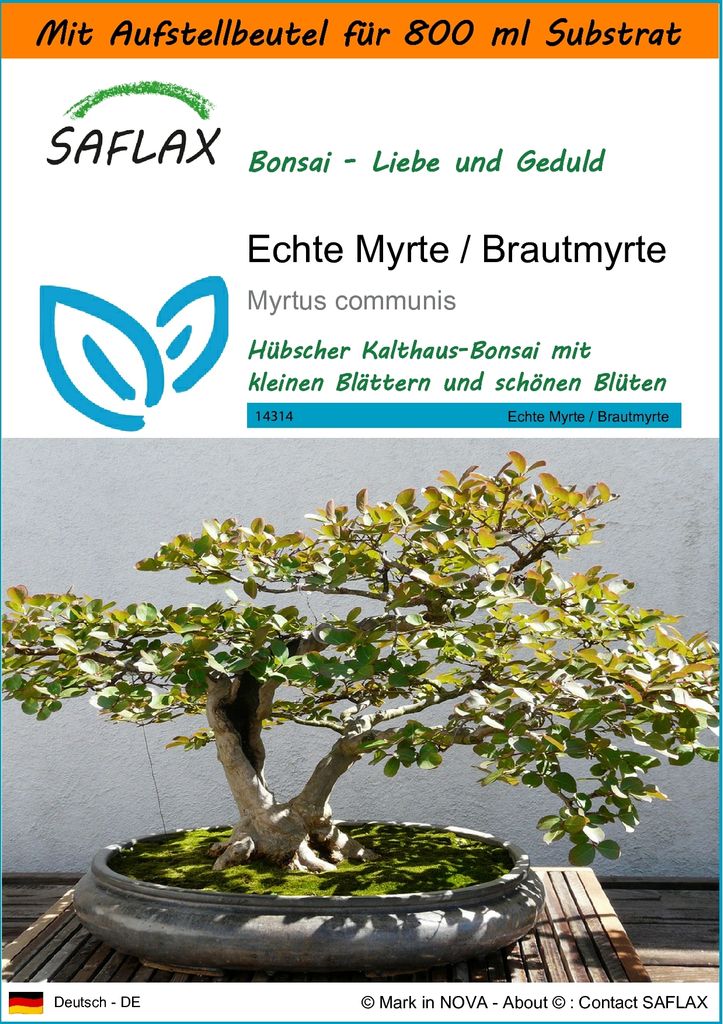 SAFLAX - Garden in the Bag - Bonsai - Echte Myrte / Brautmyrte - 30 Samen - Mit Anzuchtsubstrat im praktischen, selbst aufstellenden Beutel - Myrtu...