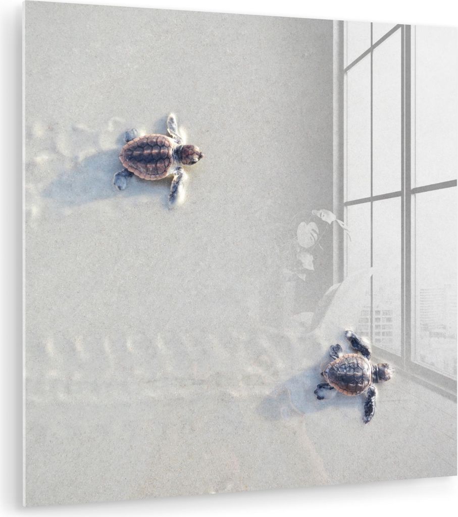MuchoWow Glasbilder - Bilder auf Wandbild - Foto auf Glas Zwei kleine Schildkröten 20x20 cm Wanddekoration aus Glas - Acrylglasbild - Acrylbilder ...