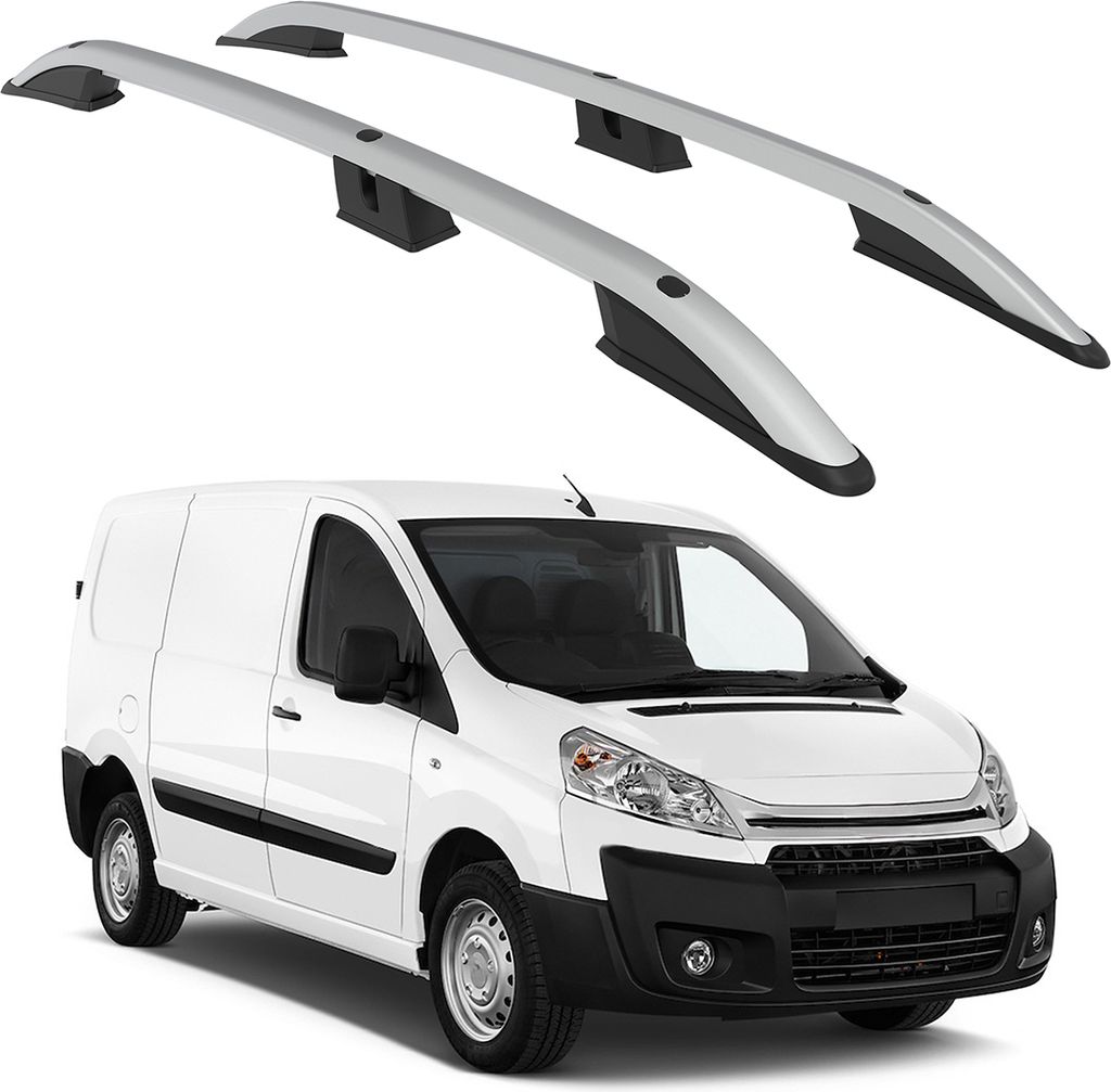 TURTLE DACHRELİNG CROWN CITROEN JUMPY Mk2 2006 2007 2008 2009 2010 2011 2012 2013 2014 2015 2016 (LWB) , Silber