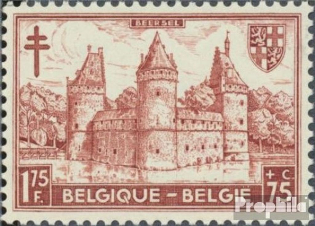 Briefmarken Belgien 1951 Mi 918 postfrisch Tuberkulose Produktbild 