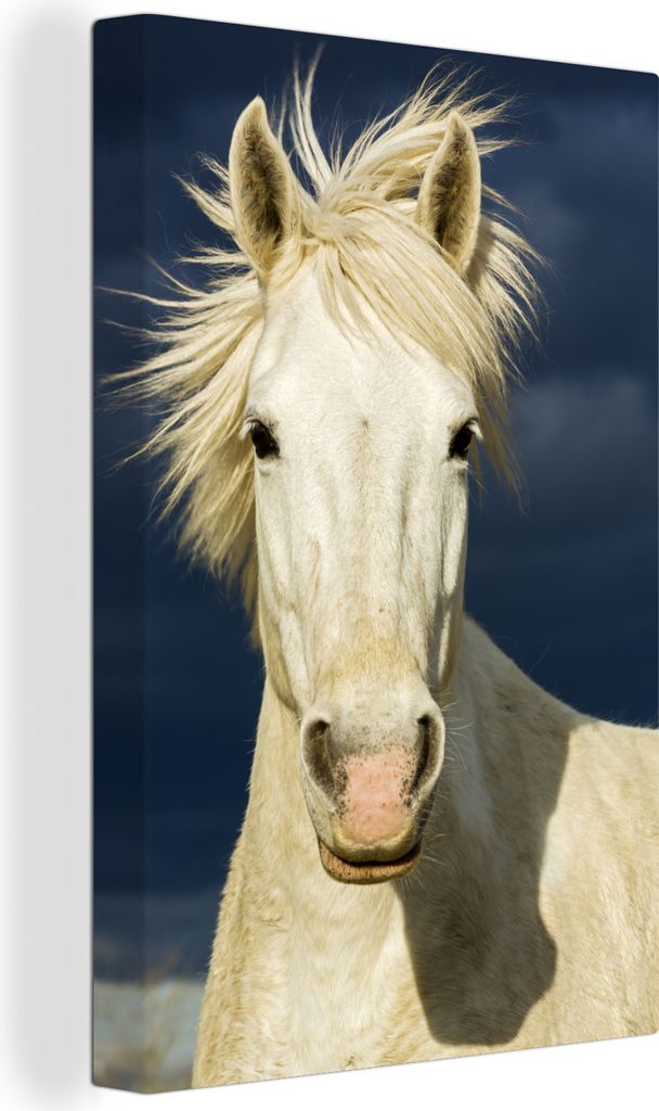 OneMillionCanvasses - Leinwandbilder - 90x140 cm, Pferd in der Camargue, Wandbilder Kunstdruck Wanddekoration - Wandschmucke - Schlafzimmer