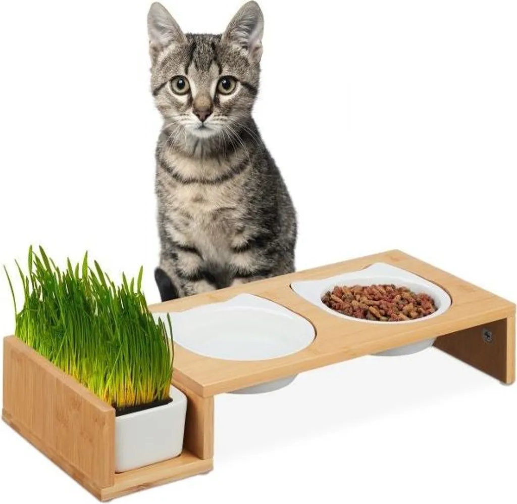 Gamelle double pour chat et jardinière d'herbe fraîche 2-en-1 grise