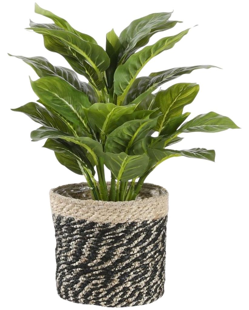 Marrakesch Orient Pflanzkorb Boho Übertopf geflochten Natur Schwarz mit Folieneinsatz, runder Pflanzenkorb mit Zebra-Muster für Zimmerpflanzen, W...