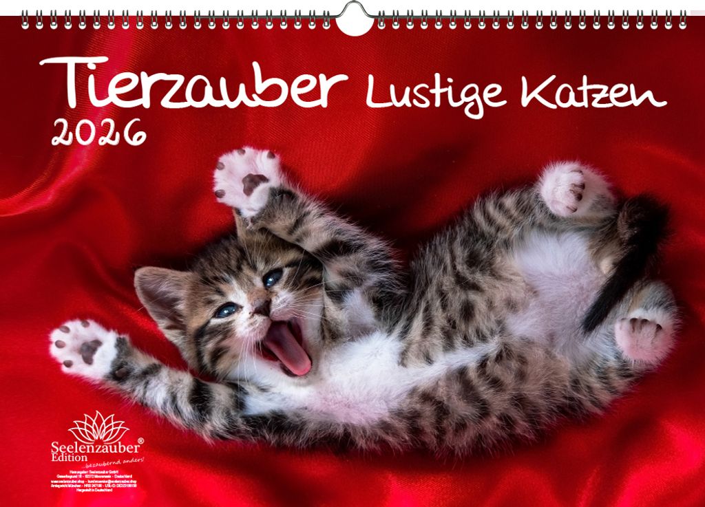 Tierzauber lustige Katzen DIN A3 Kalender für 2026 Lustige Katzen - Seelenzauber