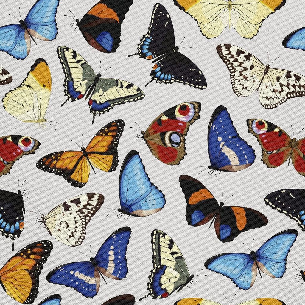 OUTDOOR DEKOSTOFFE OXFORD - Motiv Sammlung von Schmetterlingen I DX435