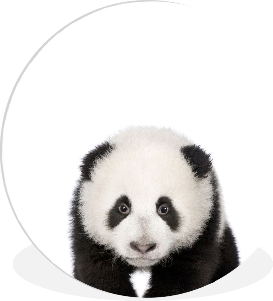 MuchoWow Rundes Wandbild - Runde Bilder Tiere - Kinder - Panda - Mädchen - Jungen Ø 60 cm Kreis Wanddekoration Kunststoff - Wandkreis - Wandsch...