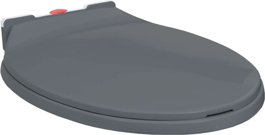 "2026 Promotion" Toilettensitz mit Absenkautomatik Quick-Release Grau Oval - WC-Sitze CC1057