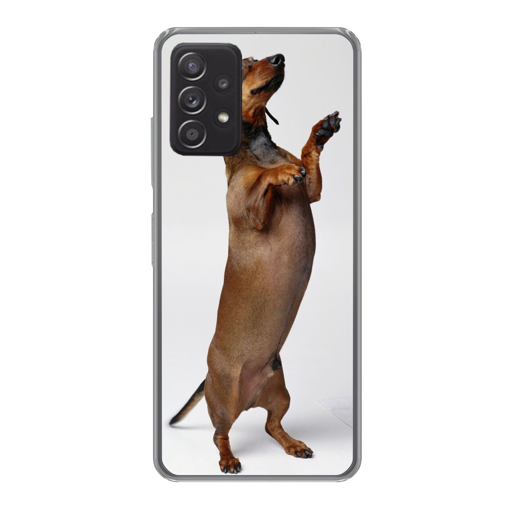 MuchoWow Handyhülle Schutzhülle Hülle für Samsung Galaxy A53 5G Ein Dackel, der auf seinen beiden Hinterbeinen steht Silikon Softcase Handy H...