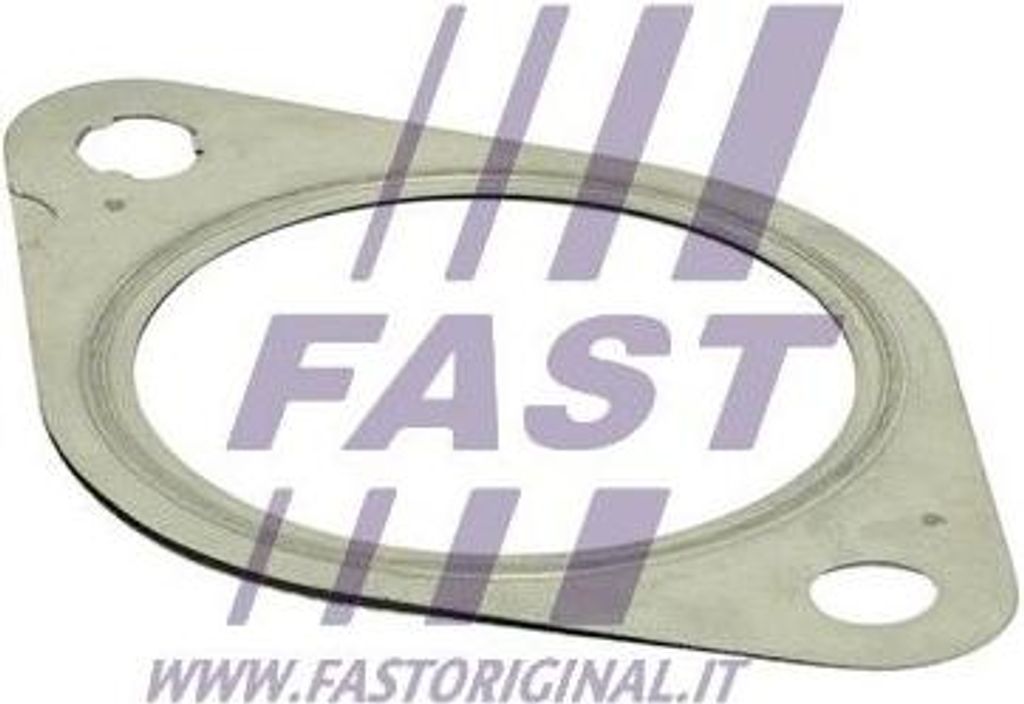 FAST FT84812 Dichtung, Abgasrohr OE 1135287 kompatibel mit S-Max, Tourneo, Transit, 3, 5, Mondeo, Kuga, C-Max, Galaxy, Focus, Fiesta, CX-7, C30, S4...