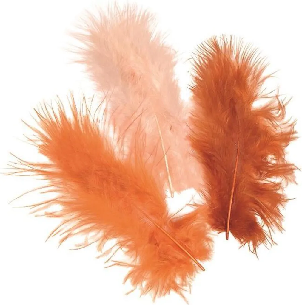 Plumes Naturelles Brunes 216619956 pour Customiser vos Vêtements Usés