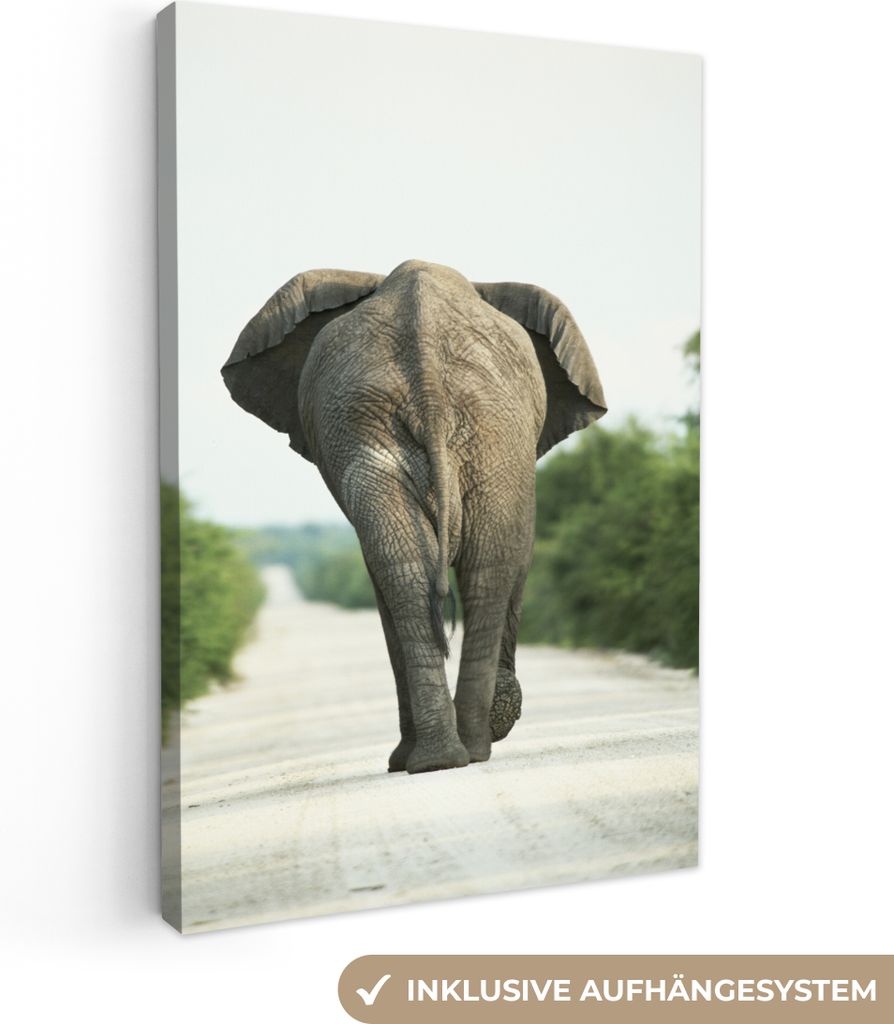 OneMillionCanvasses - Leinwandbilder - 90x140 cm, Elefant - Kröte - Tiere - Natur, Wandbilder Kunstdruck Wanddekoration - Wandschmucke - Schlafz...