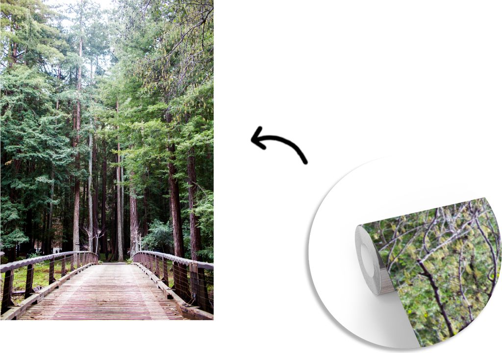 MuchoWow Fototapete für Wohnzimmer oder Schlafzimmer Wandtapete Vinyl Motivtapete Spaziergang durch die Bäume im Wald von Big Sur in den Verein...