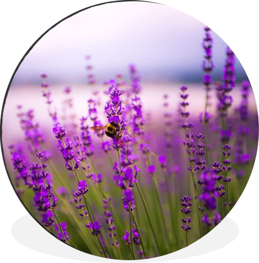 MuchoWow Aluminium Wandkreis Lavendel mit Biene Ø 30 cm Wanddeko Modern Wohnzimmer - Wand Bild - Wohnzimmer - Runde Bilder - Alubilder - Kunst f...