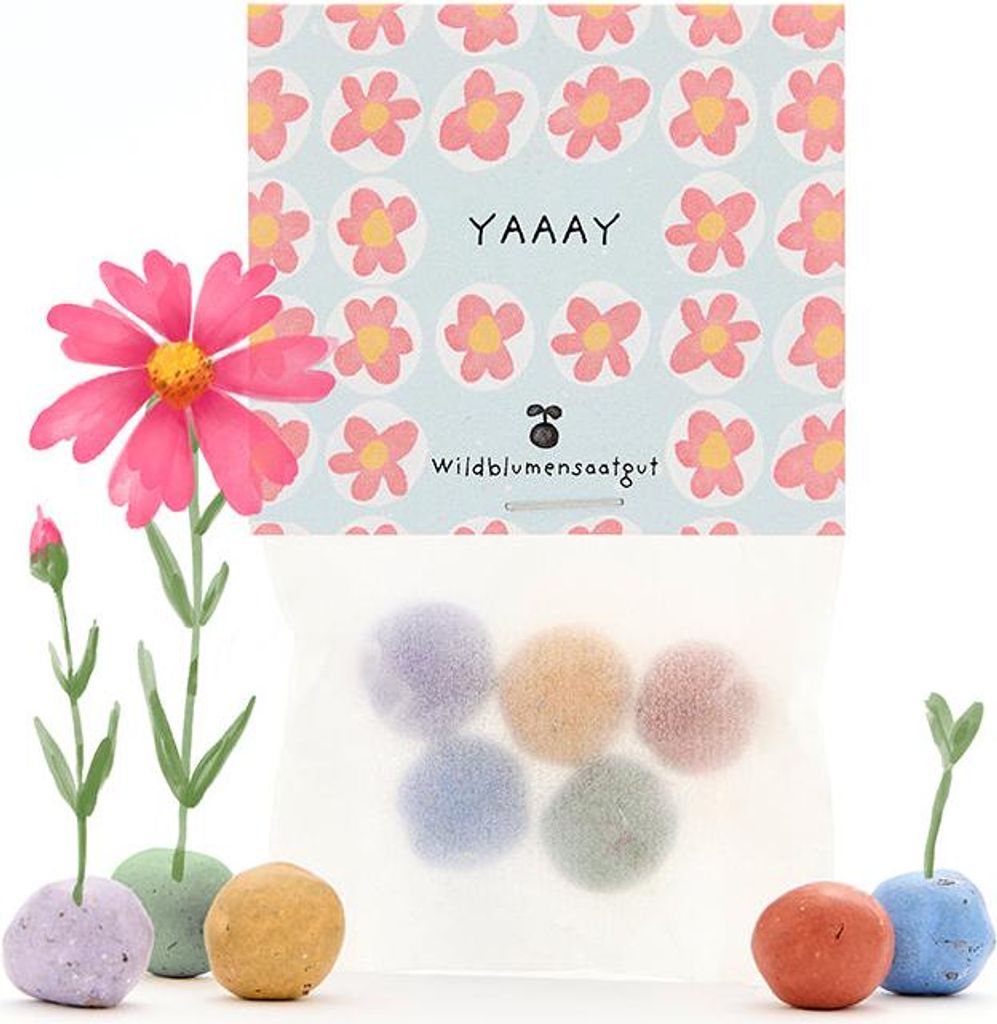 Samenbomben 5 Stück Blumenmurmeln Wildblumen Saatkugeln Geschenk Saatgut Samen