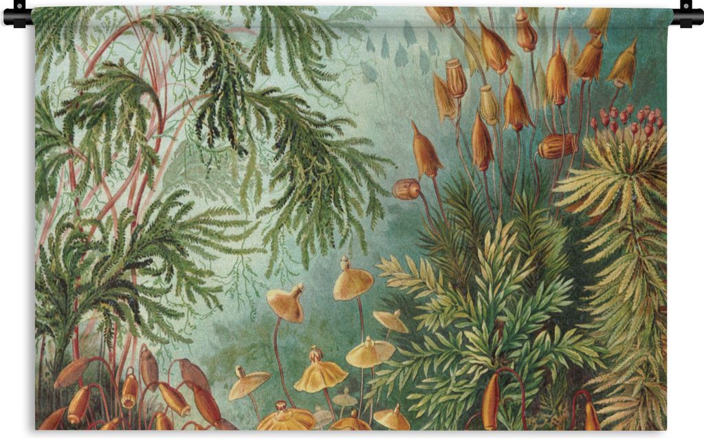 MuchoWow Wandteppich Wandbehang Alte Meister - Kunst - Muscinae - Haeckel 60x40 cm Tapisserie Dekoration Wandtuch - Wanddekorationen