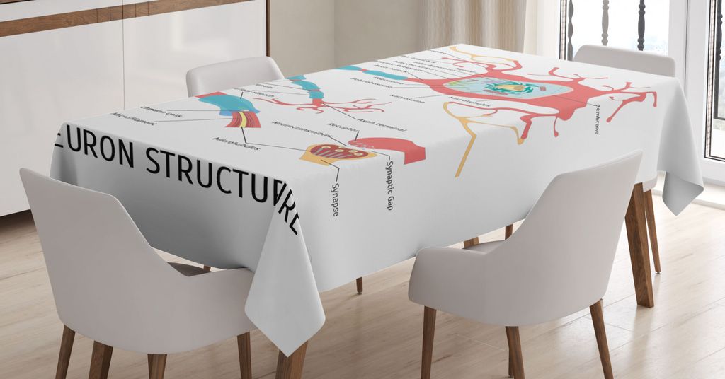 ABAKUHAUS Anatomie Tischdecke, Neuron Struktur Der Wissenschaft, Schmutzabweisent mit Modernster Druck Technologie Waschbar Klare Farben, 140 x 240...