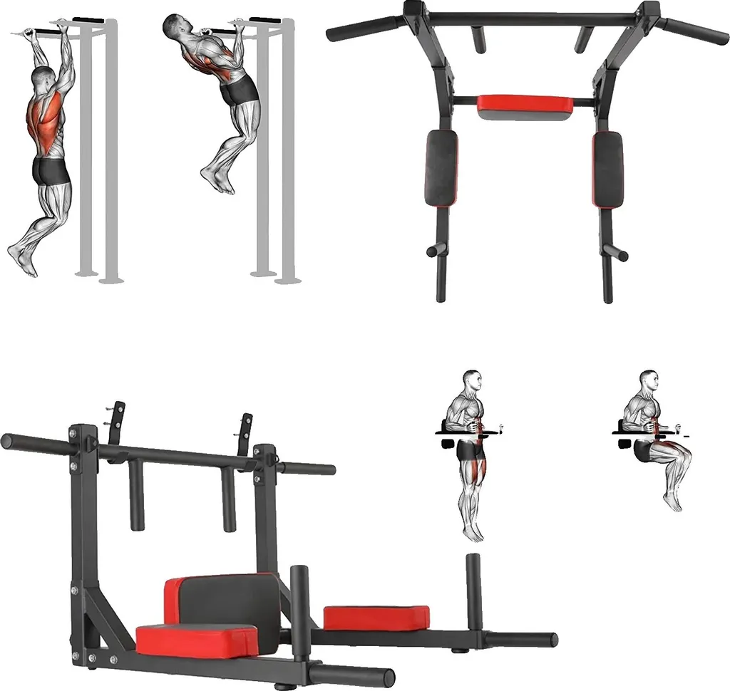 Barre de traction multi-prises pour entraînement dos et biceps