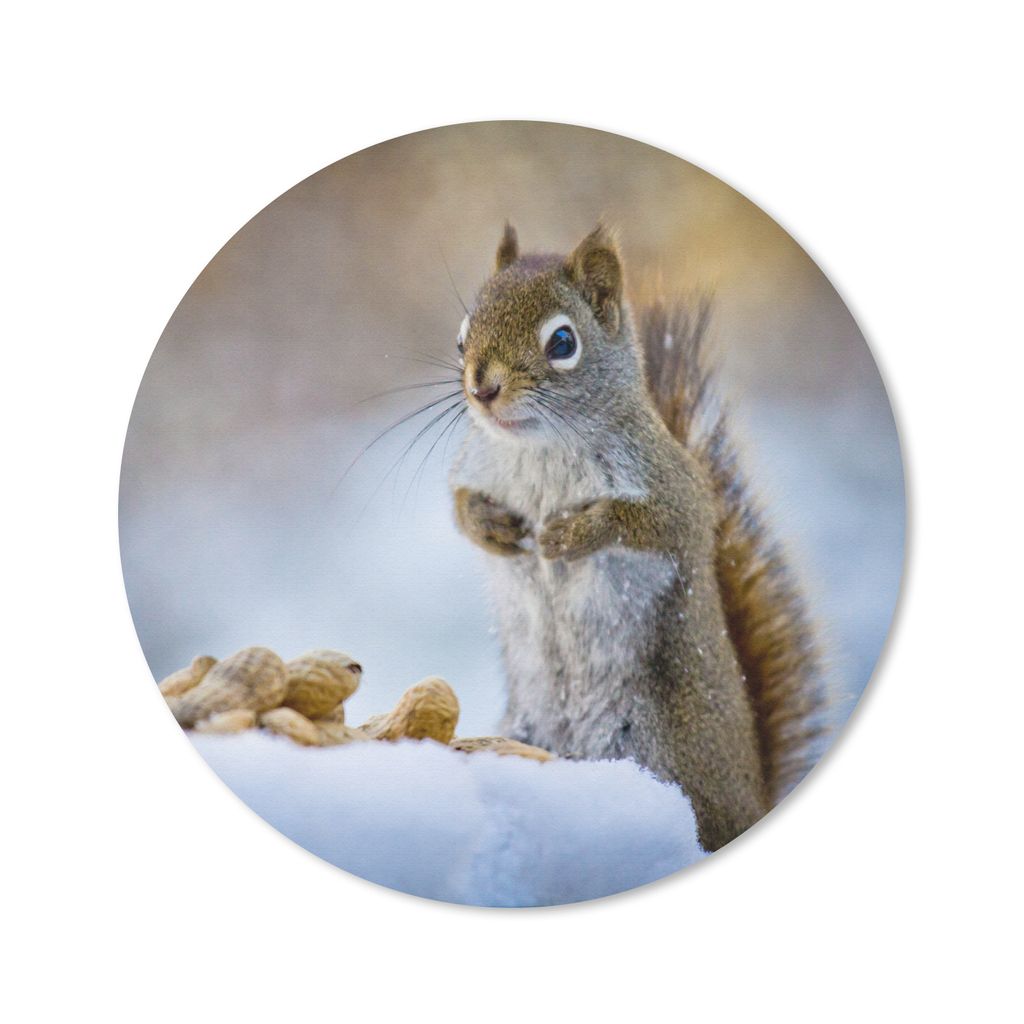 MuchoWow Mauspad Mousepad Eichhörnchen - Nüsse - Schnee - Winter - Nagetiere - Jahreszeiten 30x30 cm - Mousepads - Maus Mat - Pad - Mausunterla...