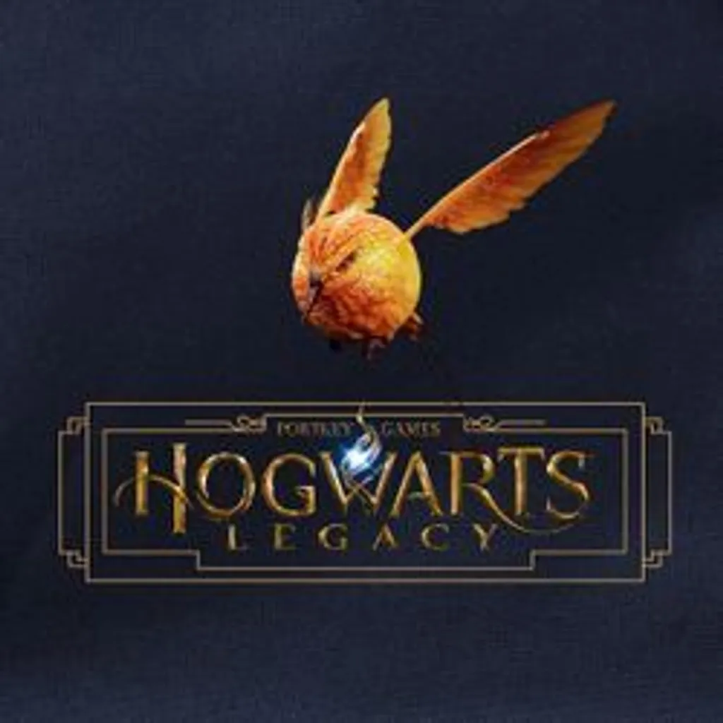 Sac à dos Hogwarts Legacy Poudlard Noir - Sac de cours robuste Harry Potter
