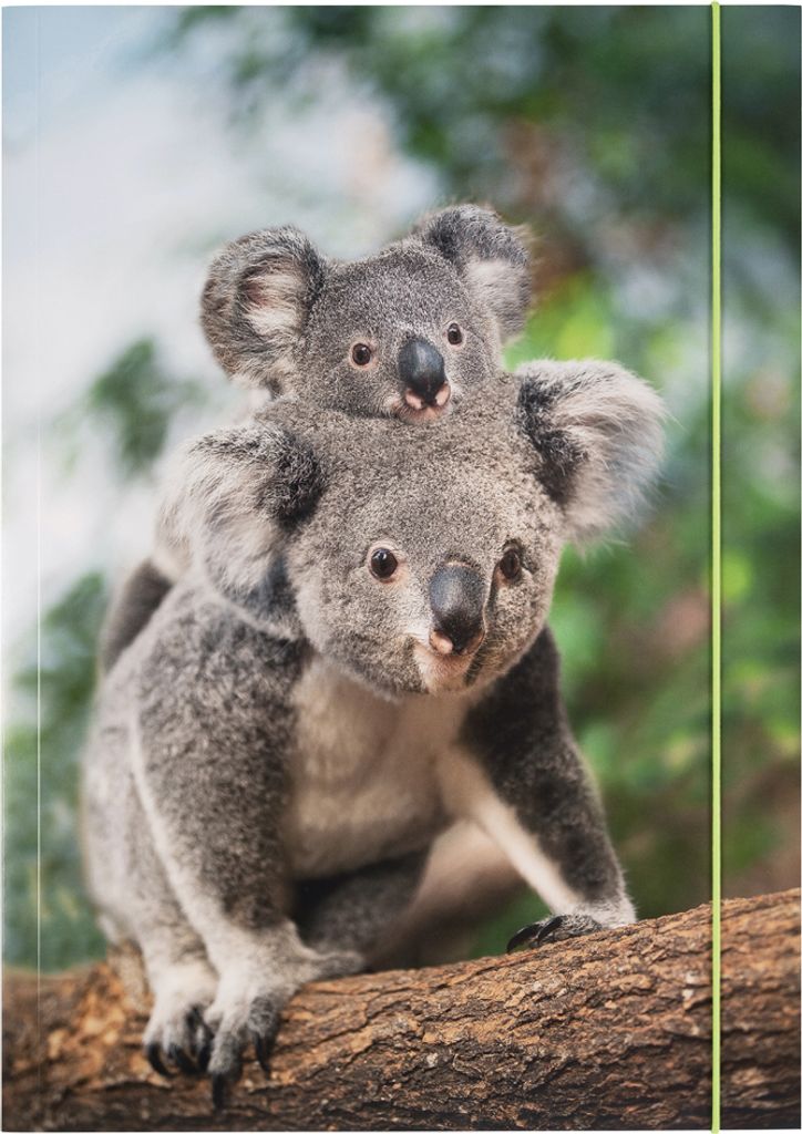 folia Zeichnungsmappe BASIC "Jungle Cuties" Karton DIN A3