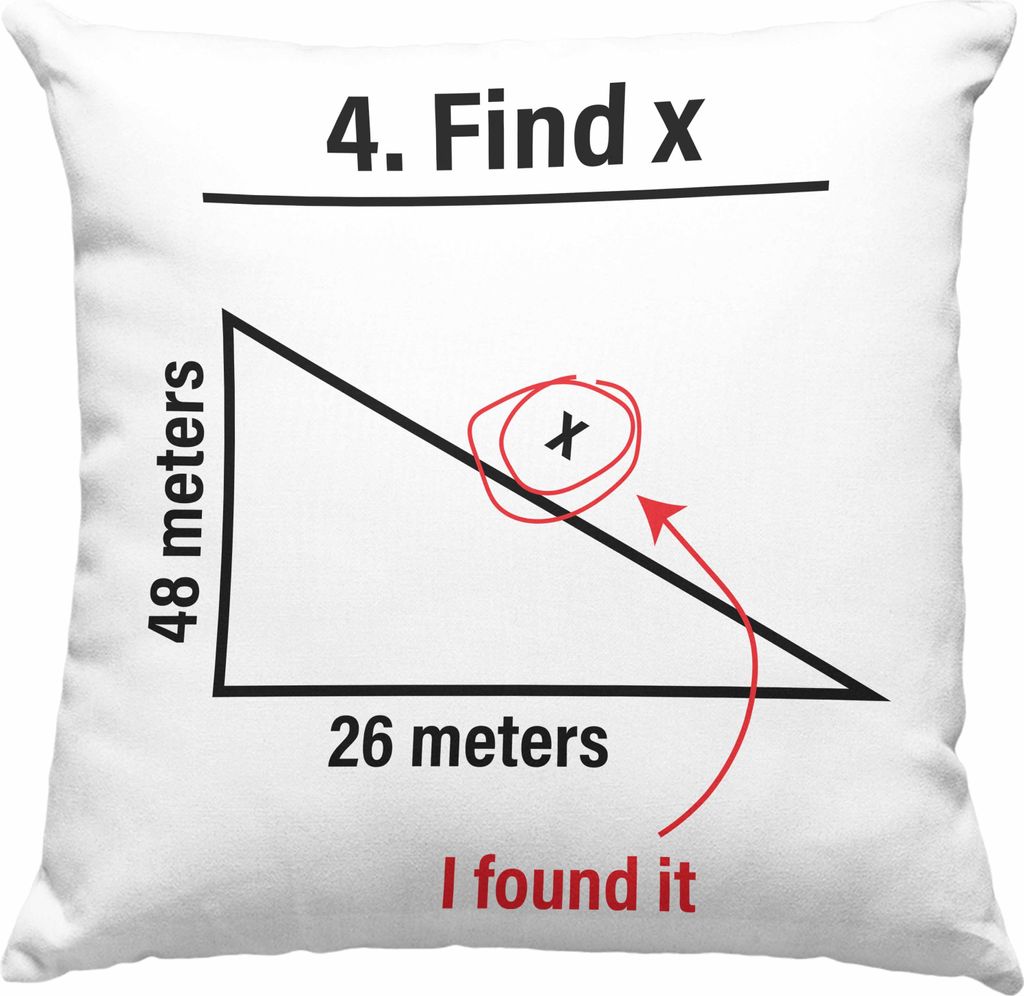 Trendation - Find X Lustige Deko-Kissen mit Füllung 40x40 Mathe Spruch Mathematiker Geschenkidee Mathestudent Lustig (Rosa)