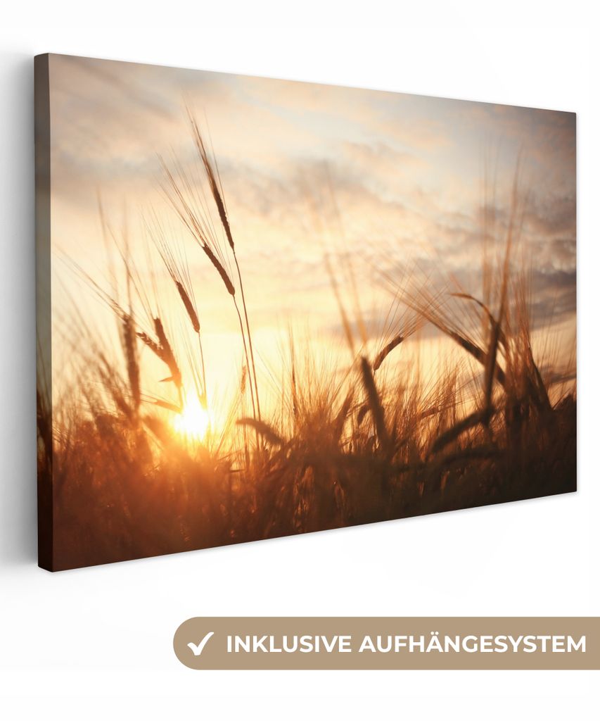MuchoWow - Leinwandbilder - Schilf - Gras - Sonnenuntergang - Natur - Horizont, Wandbild, Wanddeko Bilder Wohnzimmer, 30x20 cm