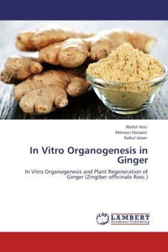 Aziz, A: In Vitro Organogenesis in Ginger