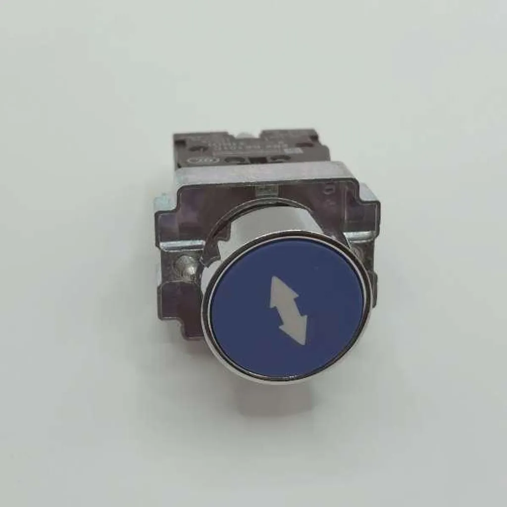 Bouton Poussoir Ascenseur Lumineux Bleu avec Double Flèche et Plot NO