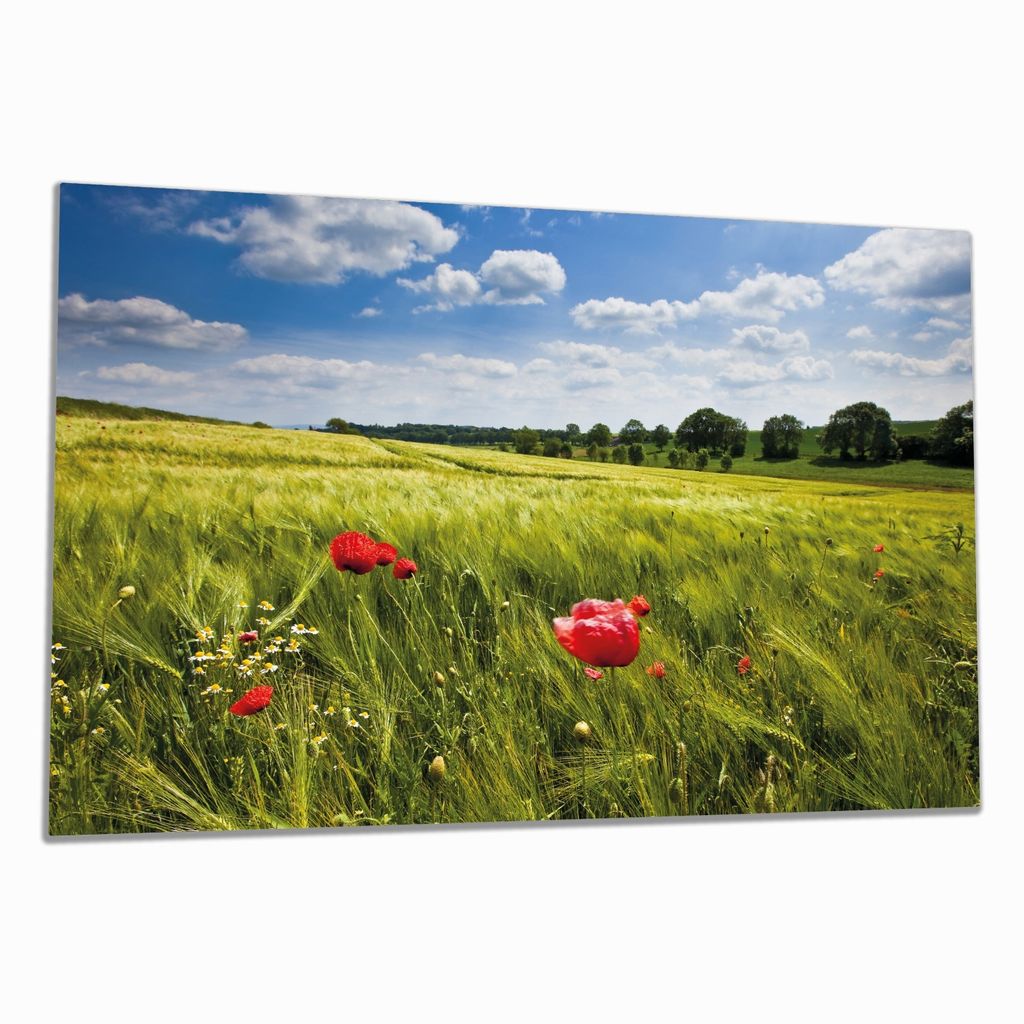 Wallario Herdabdeckplatte aus Glas, Größe 80 x 52 cm 1-teilig, Motiv Mohnblumenwiese auf grüner Wiese unter blauem Himmel