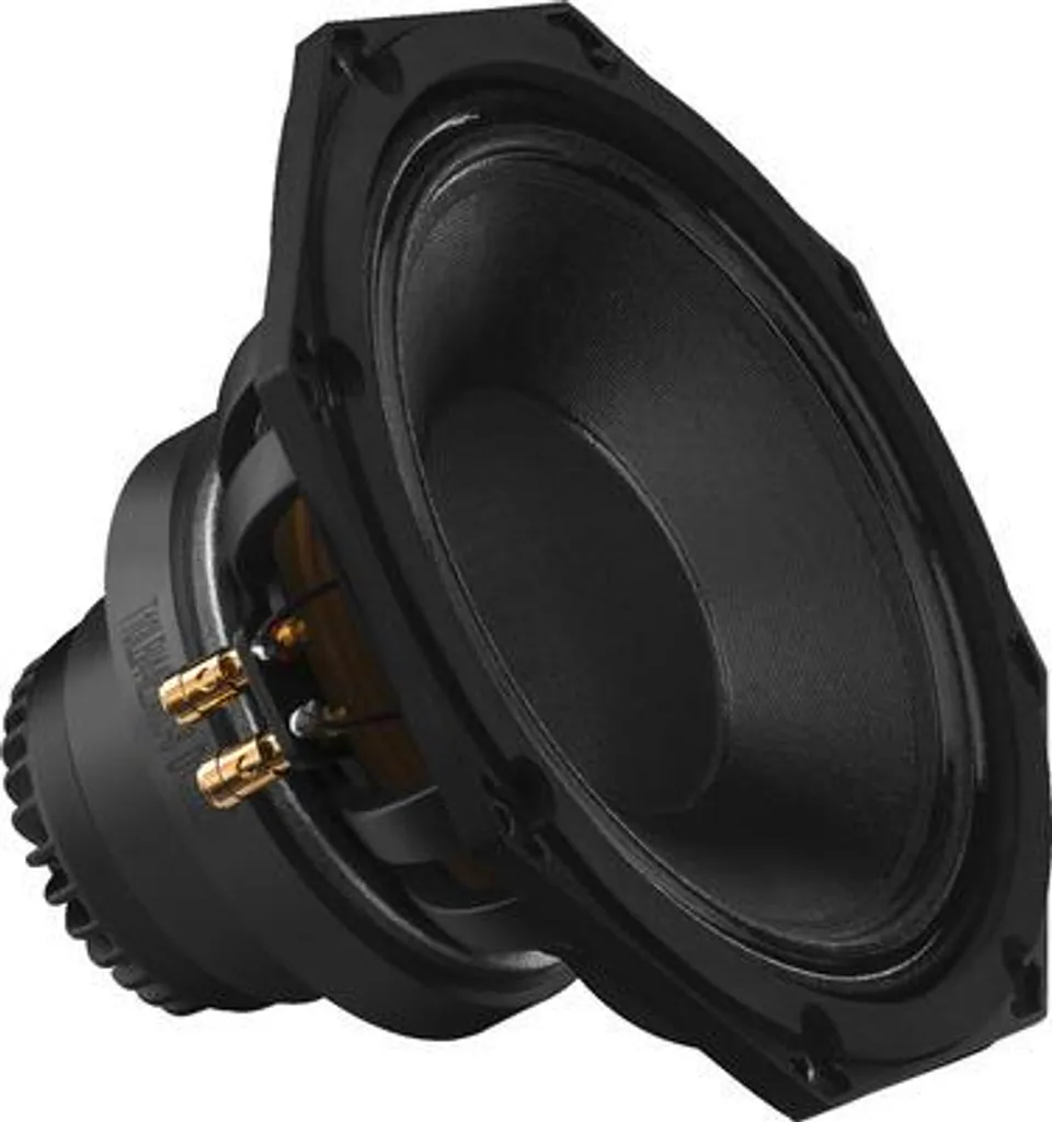 Haut-parleur coaxial 2 voies 30cm Monacor SP-310CX pour sonorisation