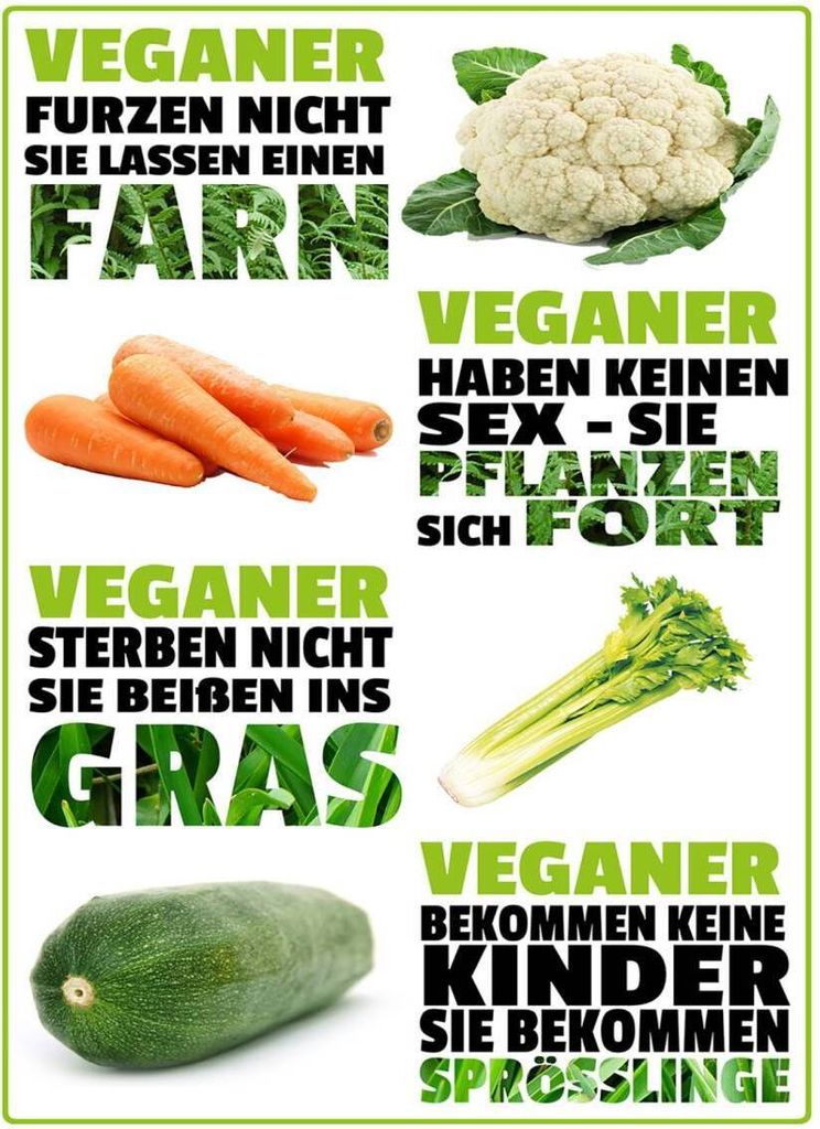 vianmo Holzschild 40x30 cm Veganer furzen nicht sterben Produktbild 