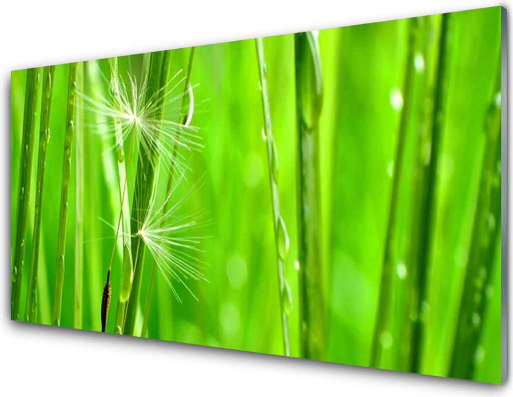 Küchenrückwand aus Glas 100x50cm Spritzschutz Gras Pflanzen
