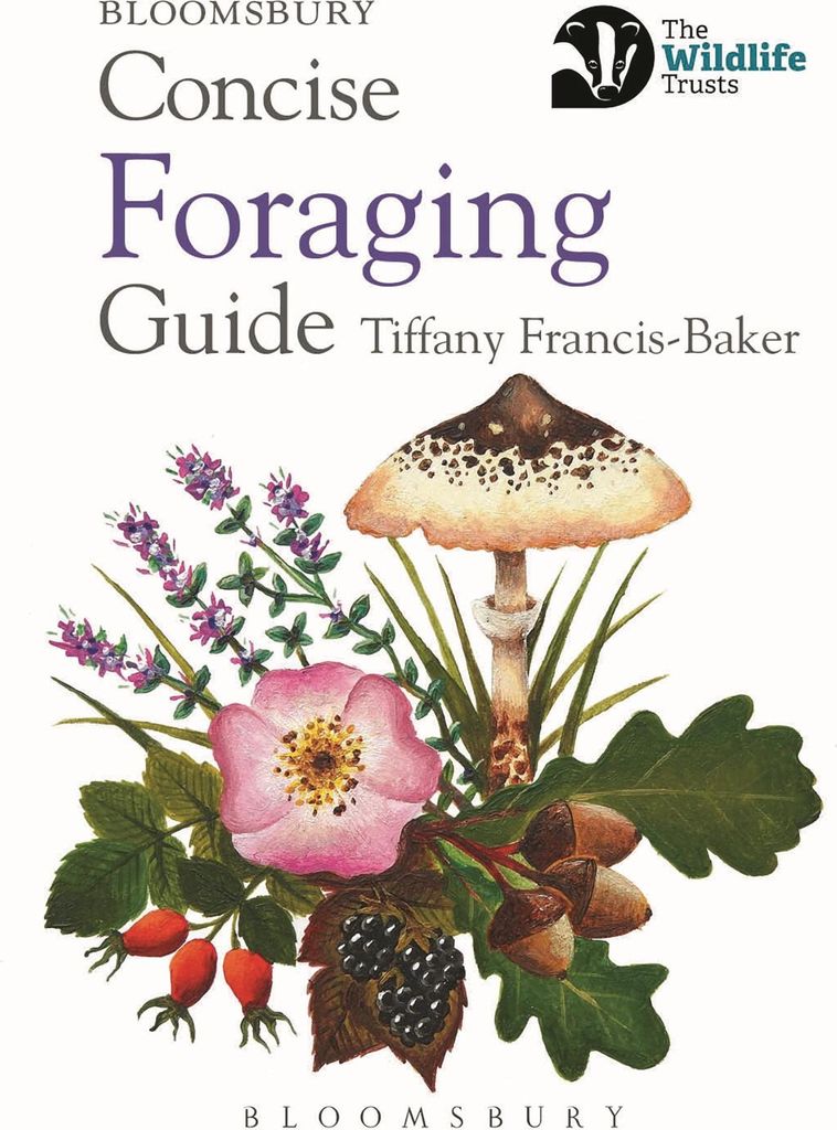Concise Foraging Guide