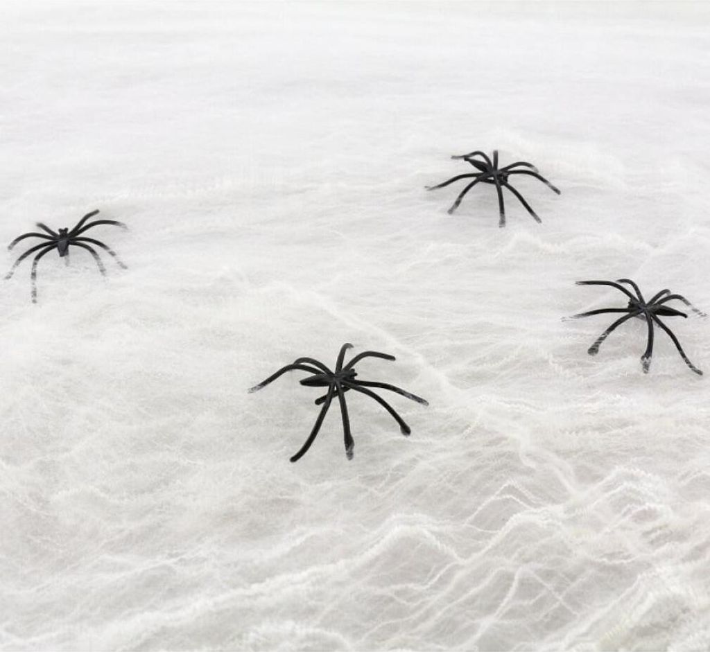 Spinnennetz mit Spinnen