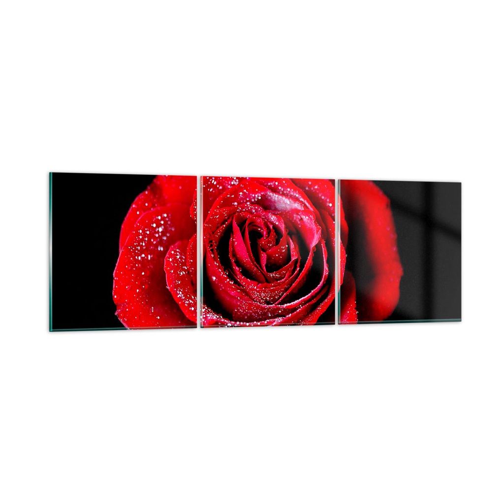 Bilder auf glas - Rose Blume Blütenblätter Wasser - 150x50cm - Glasbilder - Wandbilder - Kunstdruck - zum Aufhängen bereit - Wanddekoration aus ...